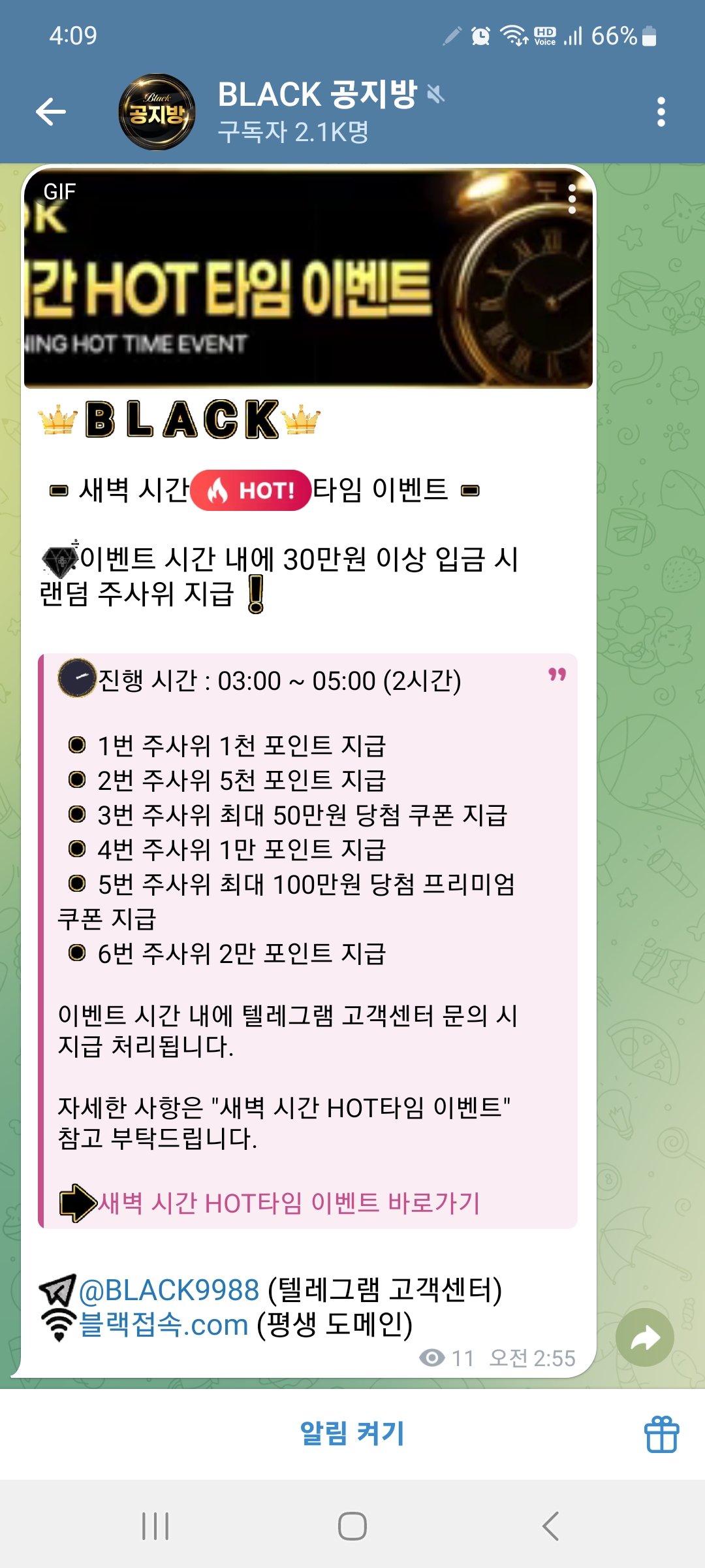 블랙후기
