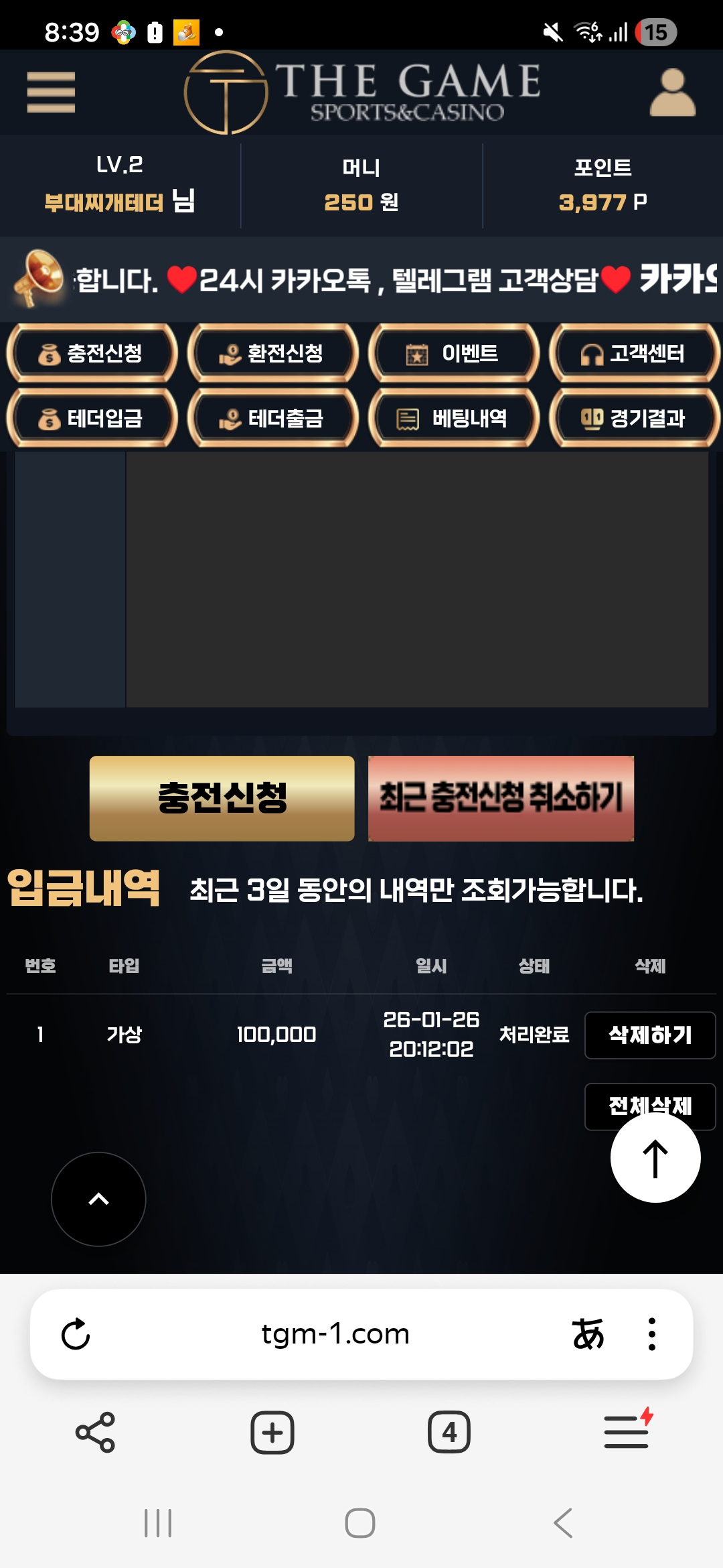 더게임 후기