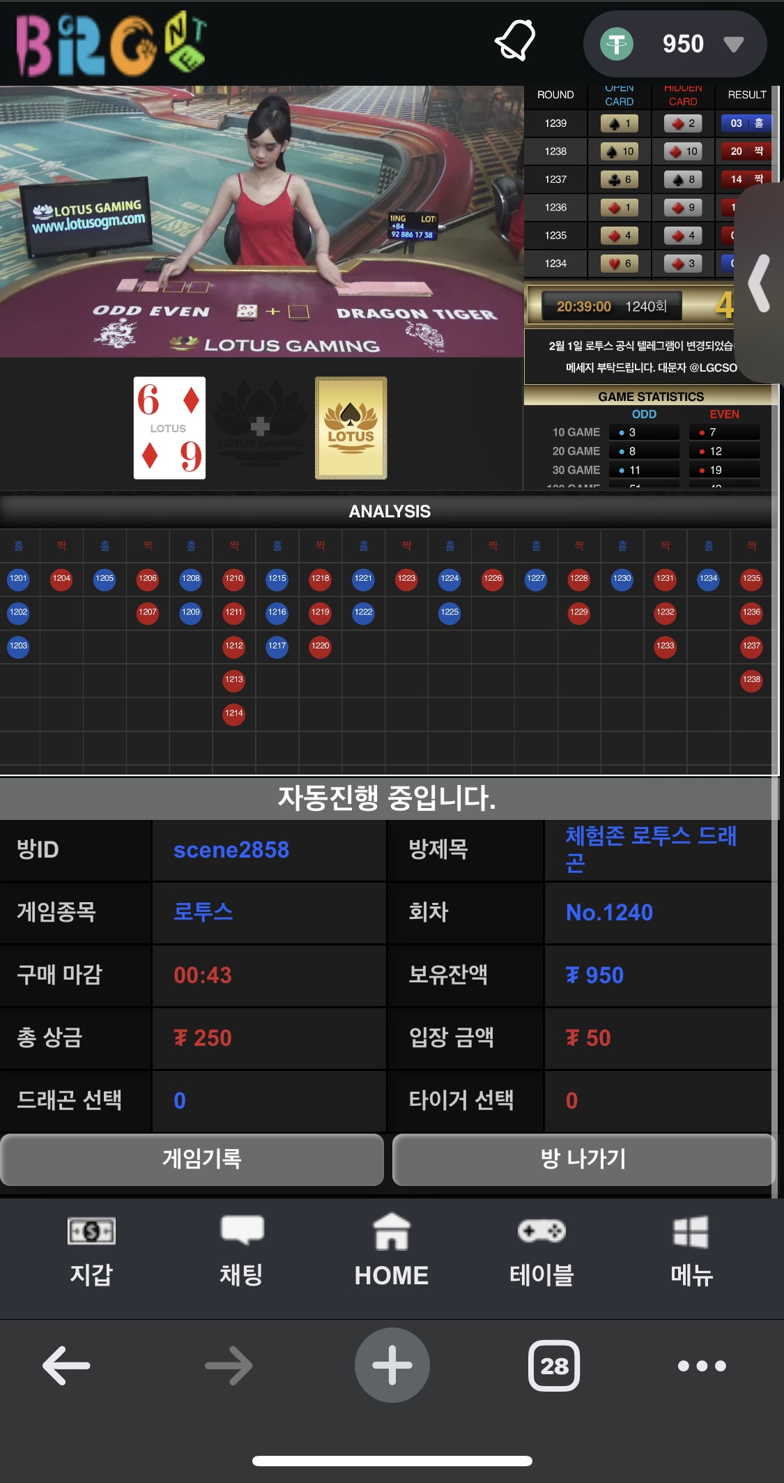 브로넷후기