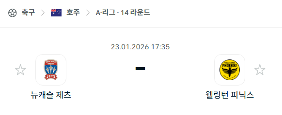 [호주 A리그] 01월23일 뉴캐슬 제츠 vs 웰링턴 피닉스 분석 중계