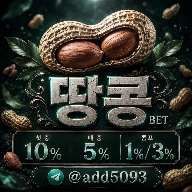⭐땅콩⭐첫,매충 / 콤프: 카지노1% ,슬롯 3% / 테더전용 슬롯맛집추천