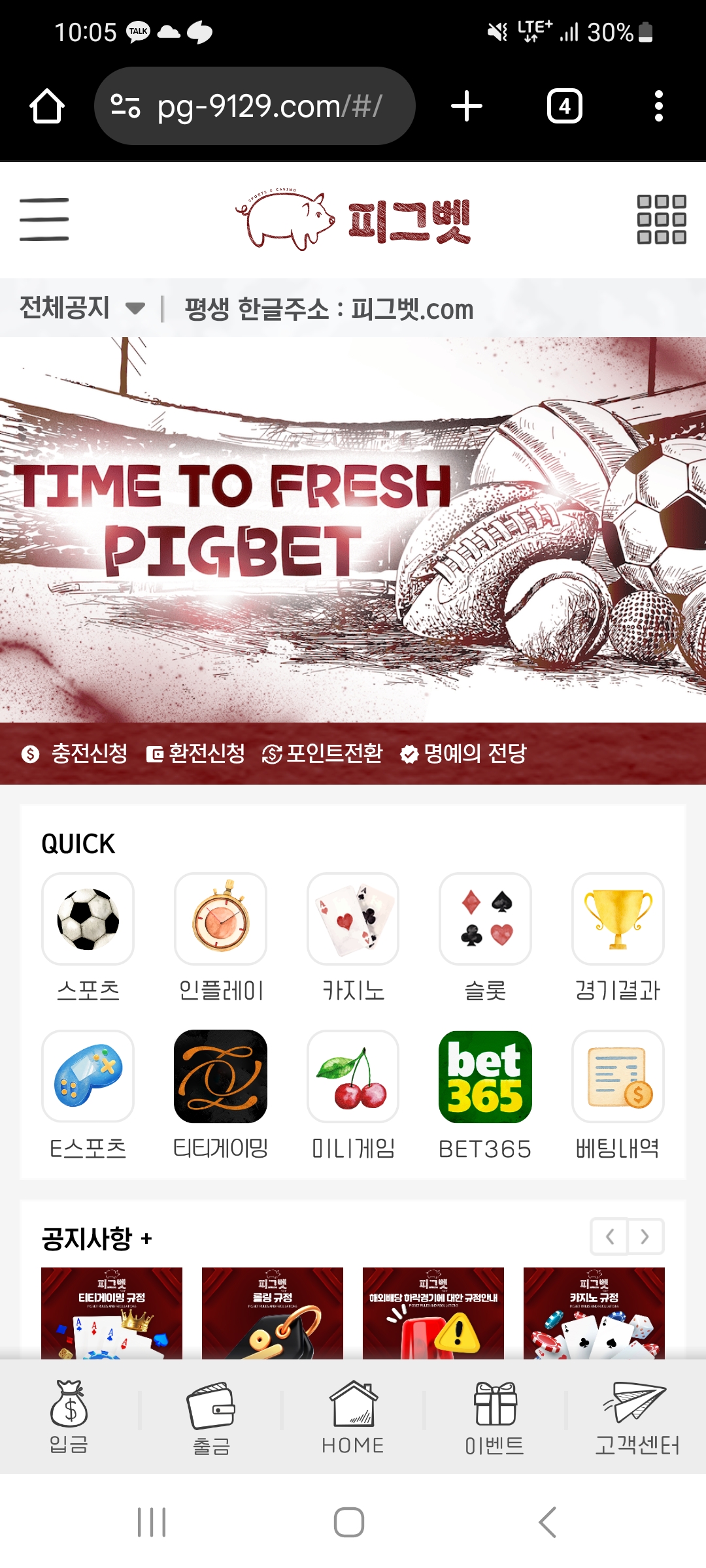 피그벳