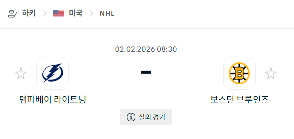 [아이스하키 NHL] 02월02일 탬파베이 라이트닝 vs 보스턴 브루인스 분석 중계
