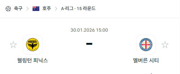 [호주 A리그] 01월30일 웰링턴 피닉스 vs 멜버른 시티 분석 중계